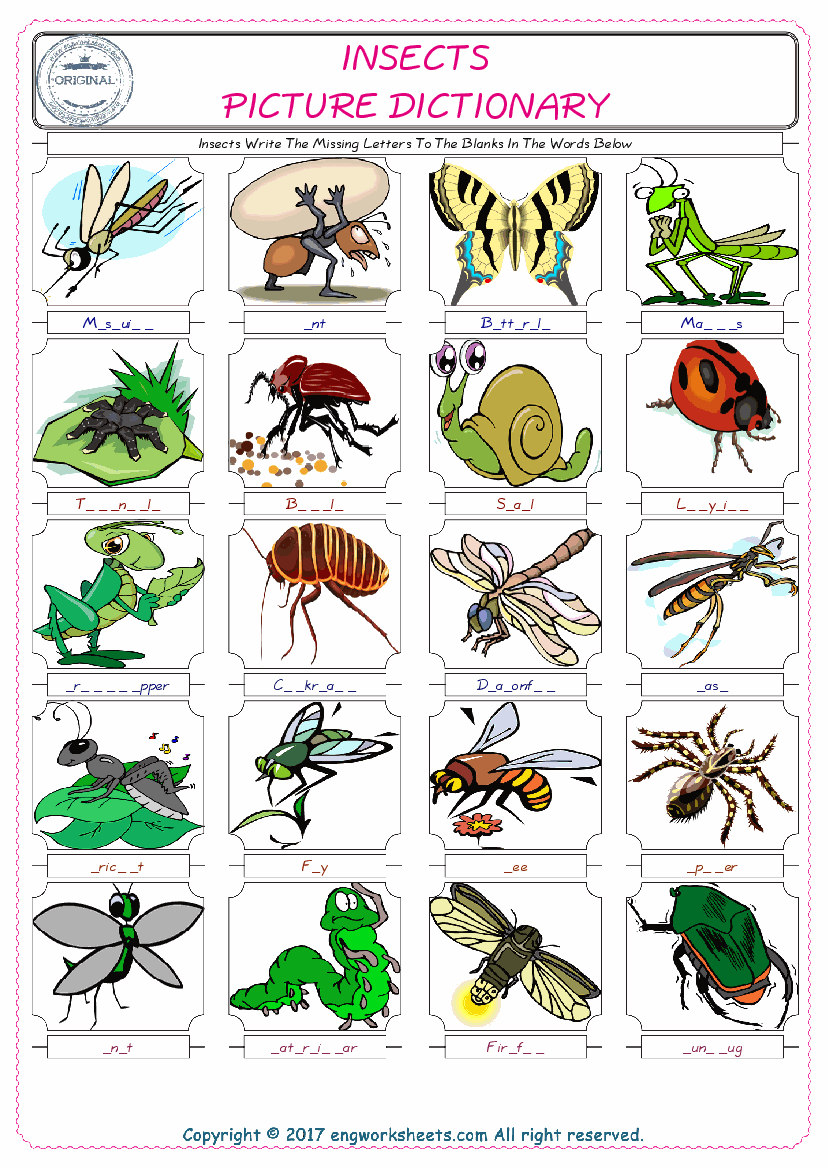  Insects Words English worksheets For kids, the ESL Worksheet for finding and typing the missing letters of Insects Words 